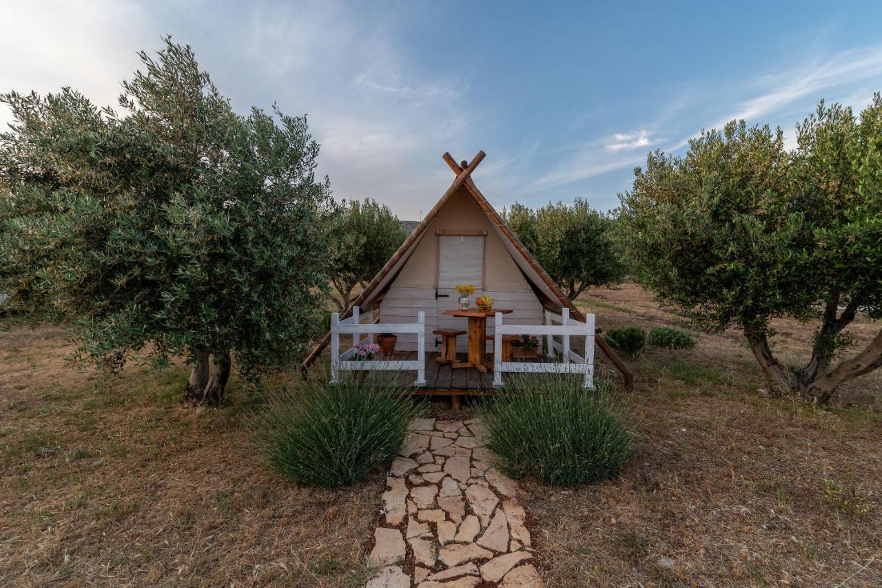 Kamp Marta Marina